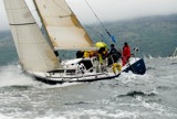 tanit gbr731t ss09 mon rmc 0292
